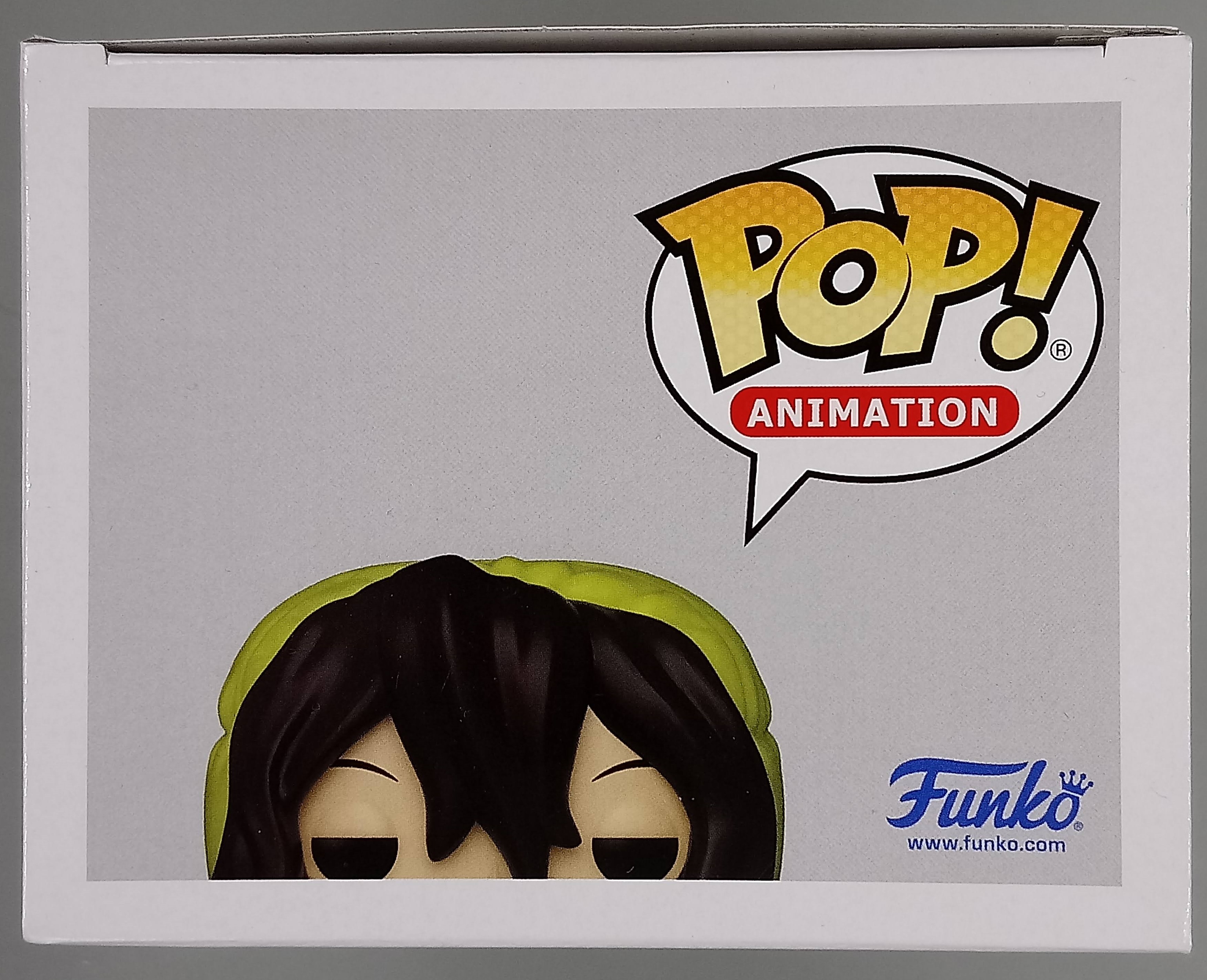 My hotsell Hero Academia: AIZAWA in sleeping bag Signed Funko Pop! #1014