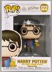 122-Harry Potter-Damaged