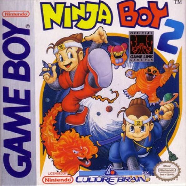 Ninja Boy II