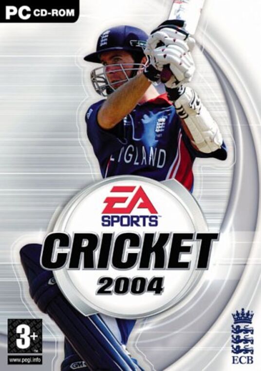 Cricket 2004