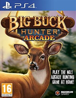 Big Buck Hunter Arcade