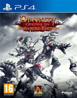 Divinity Original Sin Enhanced Edition