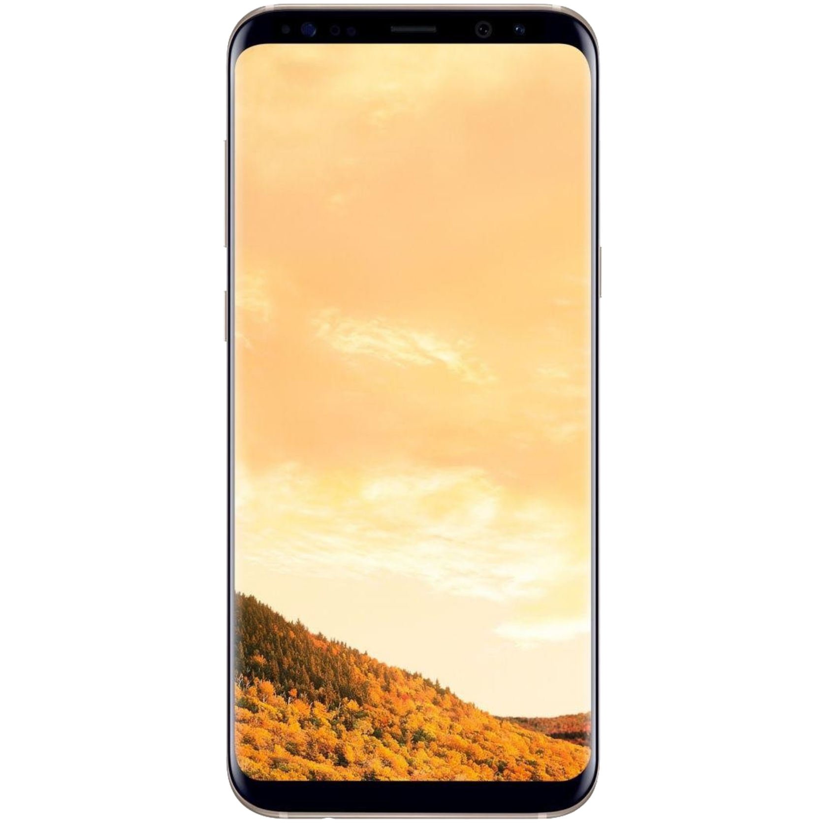 Samsung Galaxy S8 PLUS D-SIM 64GB Maple Gold Unlocked – Tech