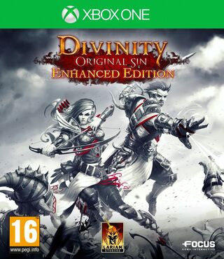 Divinity Original Sin Enhanced Edition